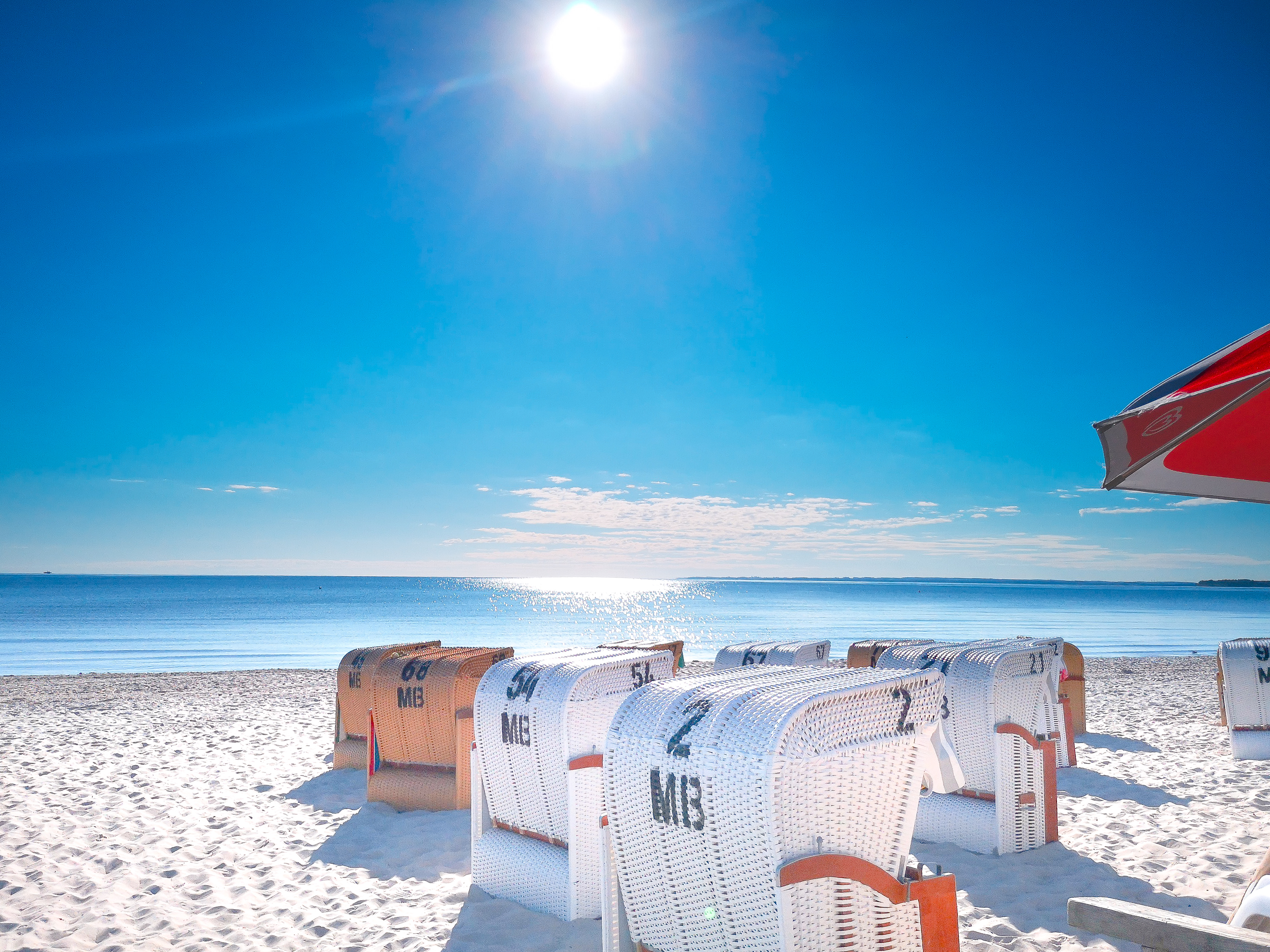 Hunde am Strand in Scharbeutz an der Ostsee